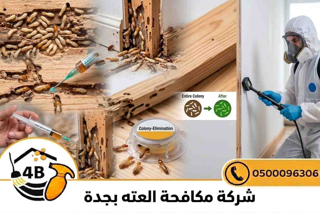 شركة مكافحة العته بجده